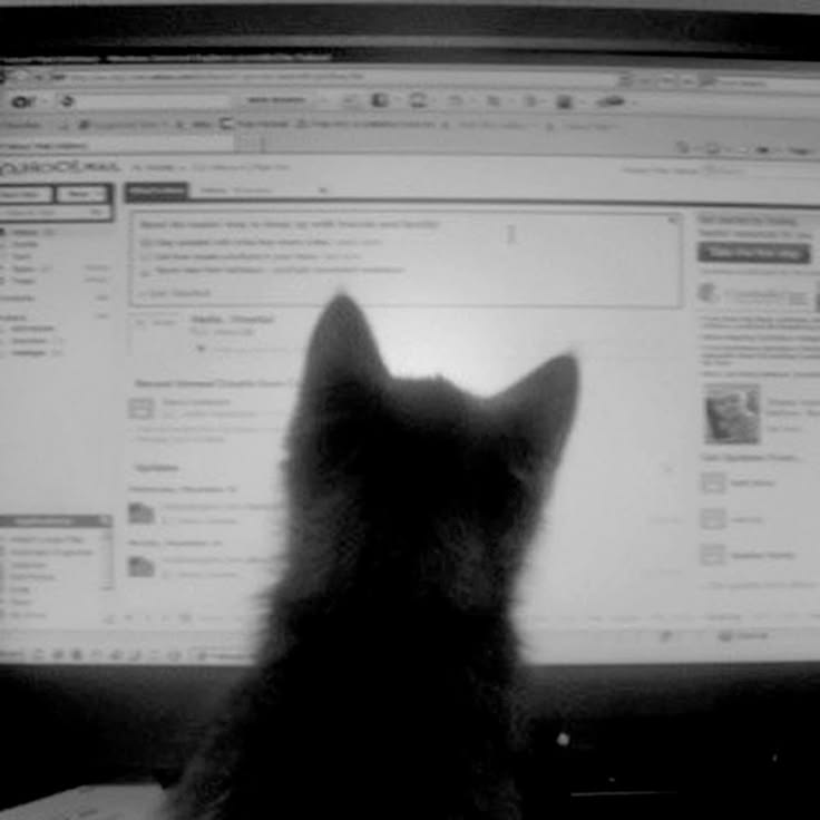 Black-and-white photo of a cat sitting in front of a computer screen